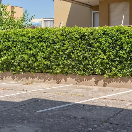 Europa 73 アルゲーロ